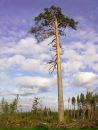 Фотография Масленникова Андрея