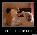 Фотография Иваноффа Максима