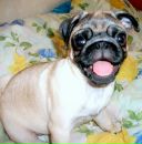 Фотография Кравцовой Олеси