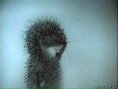 Фотография Чудаковой Ольги