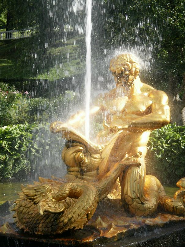 Дмитрий Тюрюков фотография #17