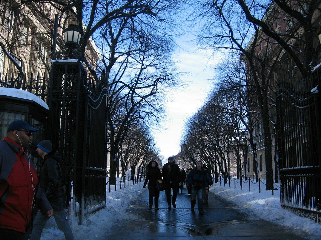 Виктор Авдеев фотография #20