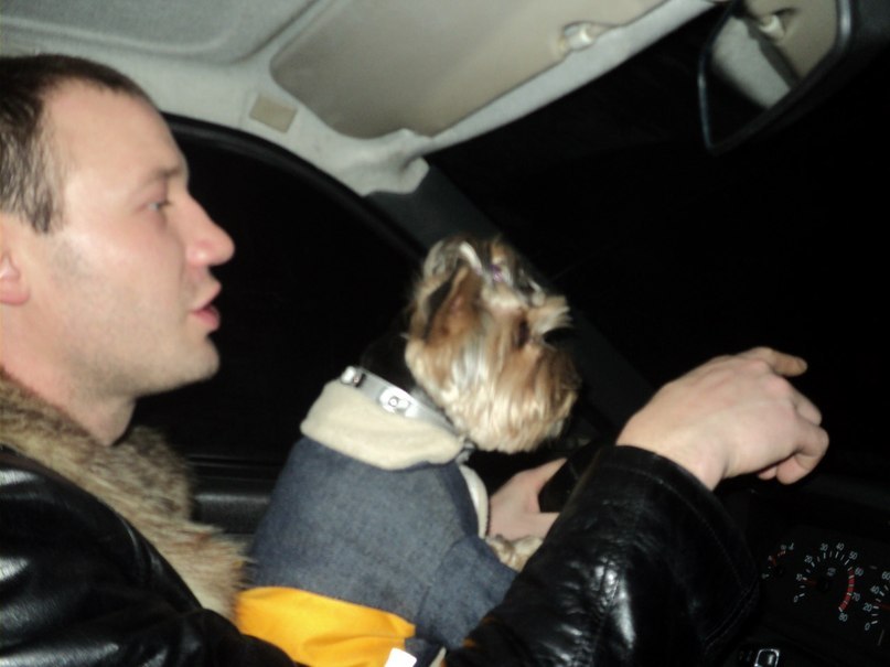 Igor Getman фотография #3