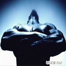 Стьопік Паламарчук фотография #2 (источник - https://vk.com/id66787437)