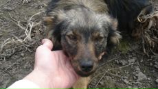 Андрій Кондратюк фотография #28 (источник - https://vk.com/id51230355)