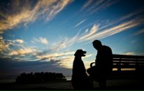 Фотография Andreev Artyom