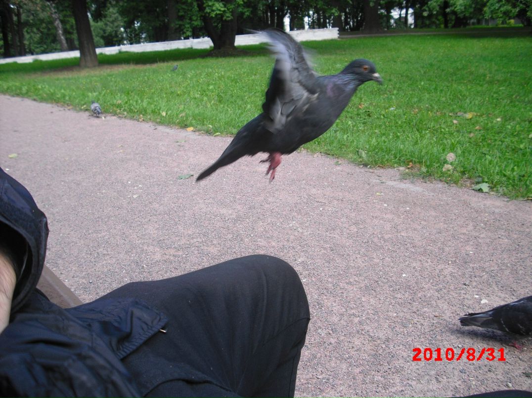 Suley Suley фотография #13