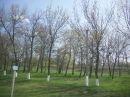 Наталія Берковська фотография #47 (источник - https://vk.com/id96493444)