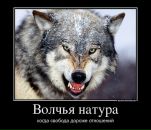 Анна Парус фотография #25 (источник - https://vk.com/id330292147)