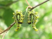 Марина Малявина фотография #47 (источник - https://vk.com/id1827018)