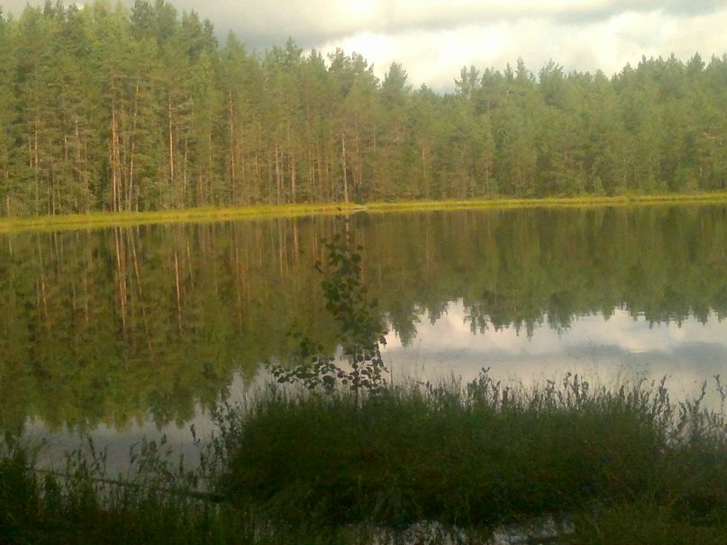 Виктор Карачковский фотография #9