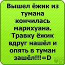 Yana Sas фотография #37 (источник - https://vk.com/id131746329)