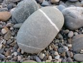 Фотография Галиев Ильдар