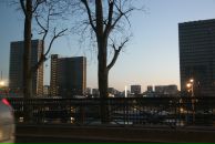 Фотография Алами Анастасии