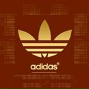 Фотография Maier Vova