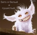 Фотография Коваленко Александра