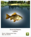 Іван Горняков фотография #5 (источник - https://vk.com/id152794618)