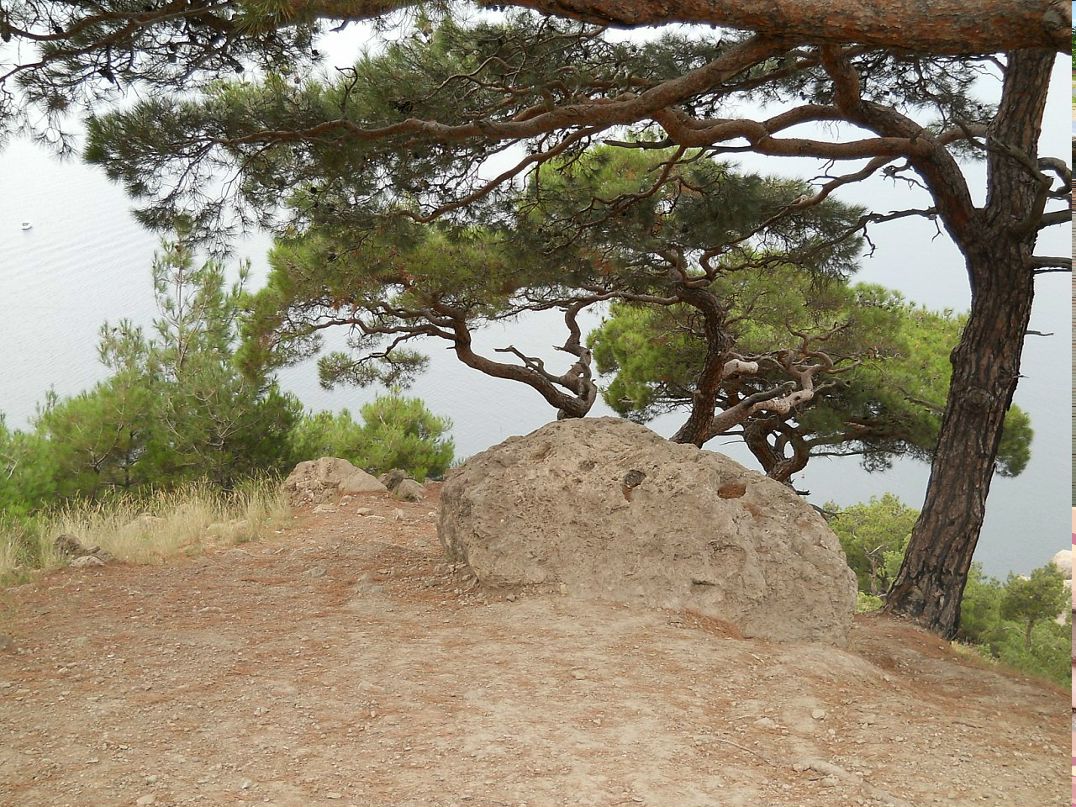 Сергей Кабаков фотография #27