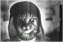 Ростик Галій фотография #19 (источник - https://vk.com/id116359909)