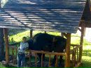 Іван Гайдейчук фотография #8 (источник - https://vk.com/id135671315)