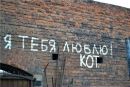 Фотография Тюриной Дарьи