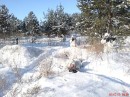 Дмитрий Булаёв фотография #38 (источник - https://vk.com/id52603333)