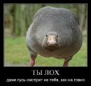 Андрій Шмігельський фотография #10 (источник - https://vk.com/id168317524)