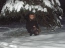 Вікторія Лвова фотография #32 (источник - https://vk.com/id44724440)