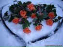 Віка Мрасноголовець фотография #1