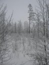 Фотография Молотковой Ирины
