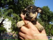 Назар Малюха фотография #14 (источник - https://vk.com/id14848207)