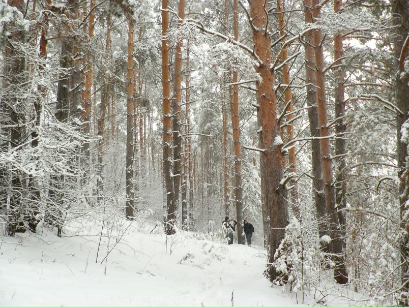 Владимир Петунин фото №2