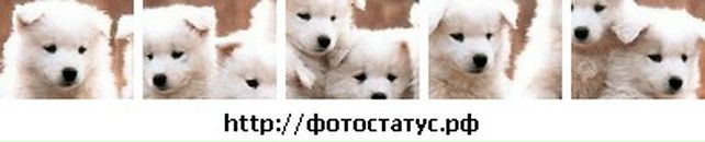 Сірожа Руденко фотография #25 (источник - https://vk.com/id103209136)