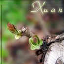 Минь До фотография #19 (источник - https://vk.com/id11536267)