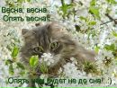Фотография Иващенко Инны