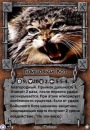 Фотография Кота Позывноя