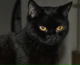 Фотография Жильцовой Олеси