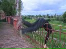 Фотография Выдрина Лешки
