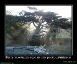 Ігор Паньків фотография #28 (источник - https://vk.com/id71625593)