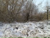 Михайло Сорокін фотография #49 (источник - https://vk.com/id17253856)