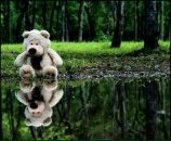 Миша Чердаков фотография #49 (источник - https://vk.com/id37705669)