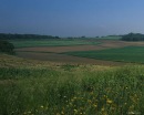 Петро Поліщук фотография #5 (источник - https://vk.com/id135501068)