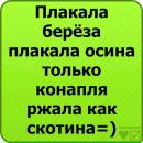 Вітя Гусак фотография #32 (источник - https://vk.com/id129557836)