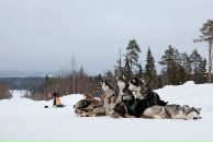 Фотография Шашковой Марины