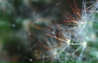 Михаил Яковлев фотография #9 (источник - https://vk.com/id2403530)