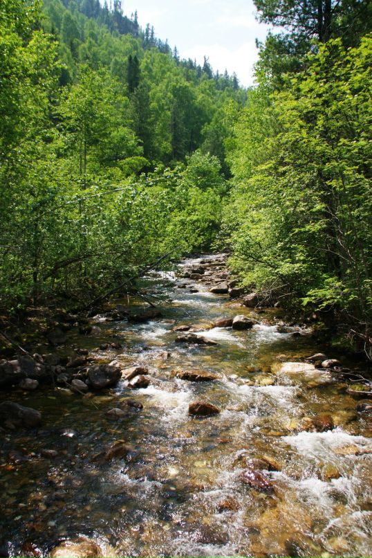 Николай Симоненко фотография #45