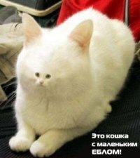 №18, Саша Барышников №18, Саша Барышников