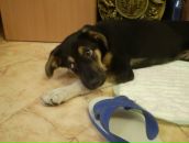 Фотография Шушпановой Екатерины