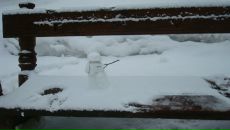 Фотография Никитиной Анны