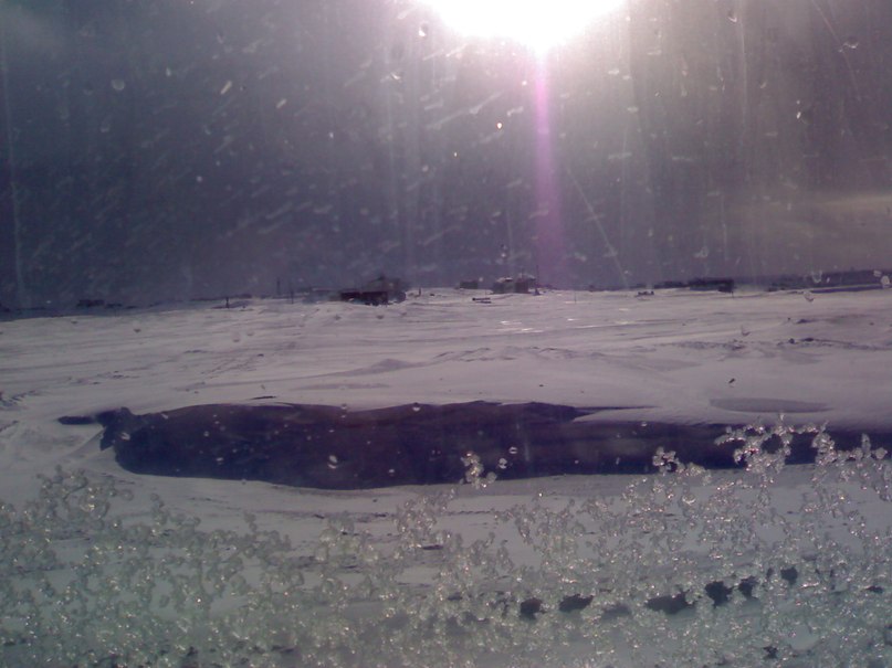 Александр Нечаев фотография #25